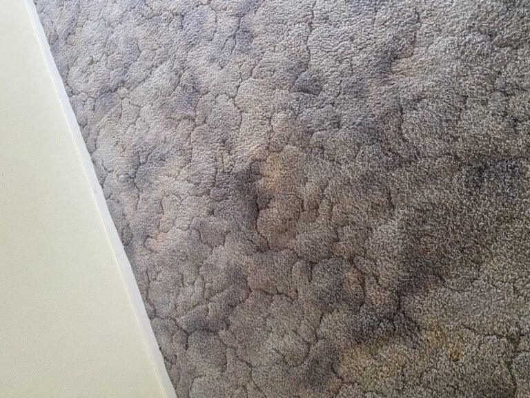 What If I Fell Because of Torn Carpet or Floor Mats?